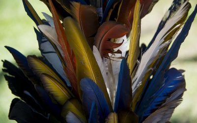 Como os índios fazem negócio?